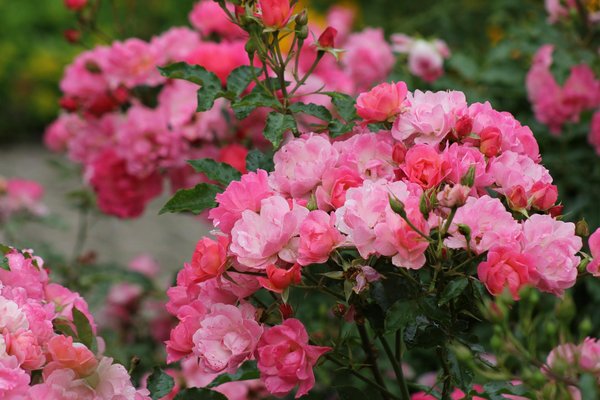 Comment éviter les arnaques lors des travaux maison